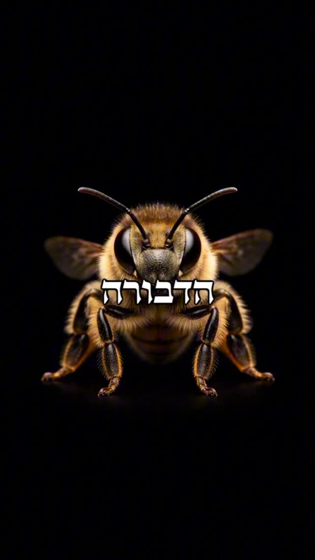לעוף כמו הדבורה 🐝...
