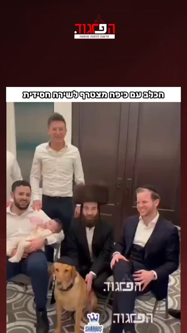 הכלב עם כיפה מצטרף לשירה חסידית...