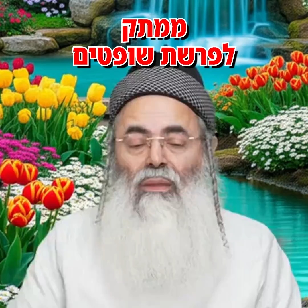 ממתק לפרשת משפטים.