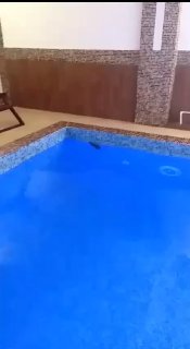 בוולדימיר, העכברוש החליט להירגע במרכז הספא, ואז לשחות בבריכה:...