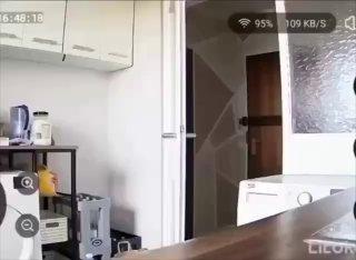 האקר החתולים הפך לפופולרי ברשתות החברתיות. בעל הקאודאטה הציב...