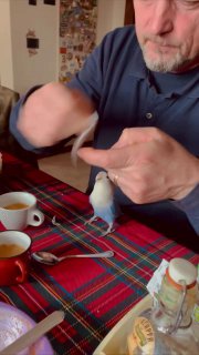 מקדחת פטיש מנוצה 😁...