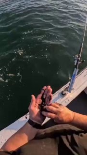 ברור לגבי כוחו של דיו תמנון. הם לא נשטפים אפילו אחרי שבוע 👀...