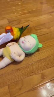 תוכי אכפתי 🦜...