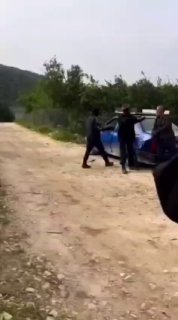 מה יותר טוב פרה או כבש?...