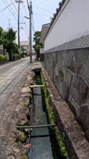 כמה מרהיבים הנופים התת-ימיים של מי הביוב של יפן......