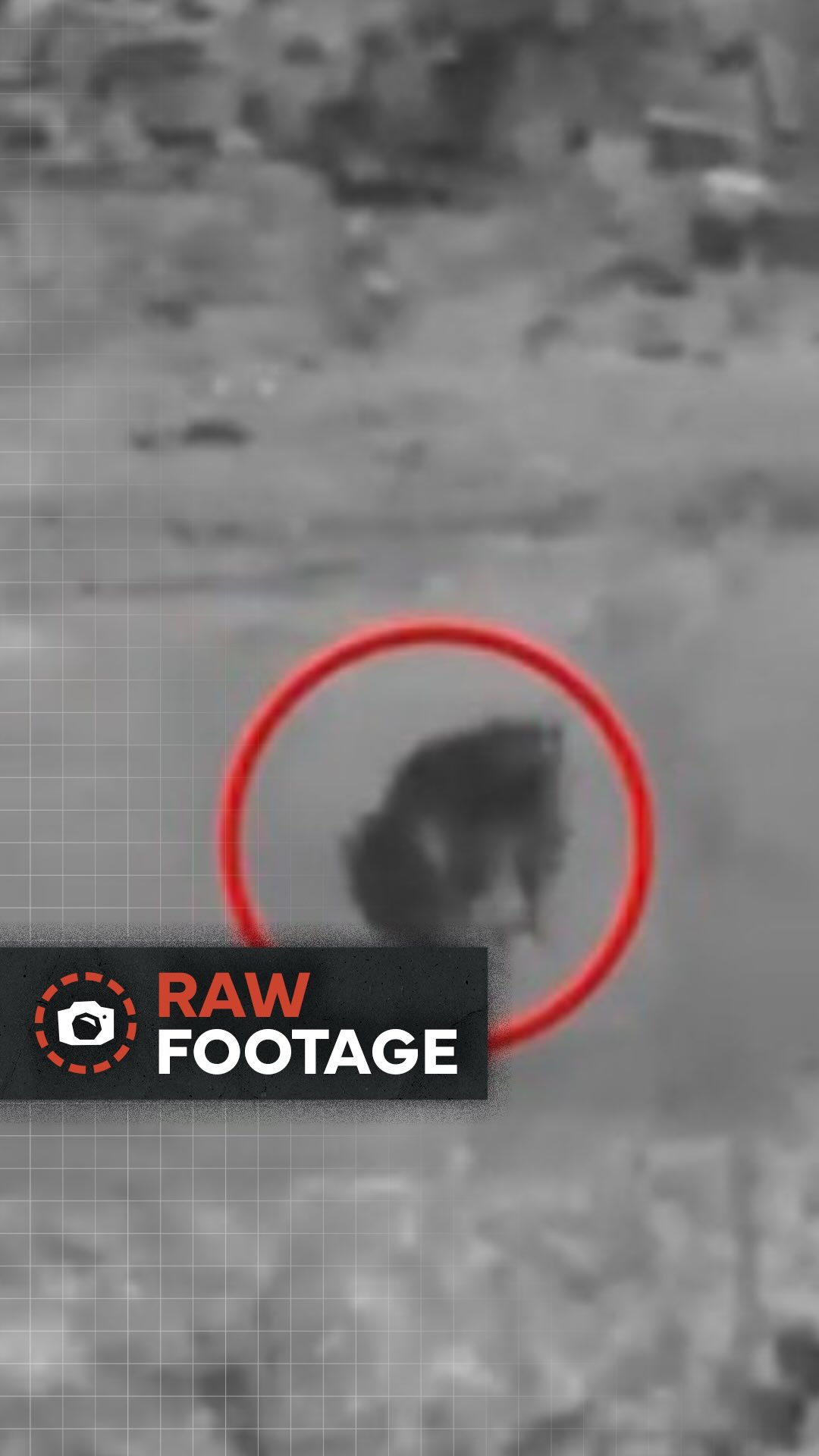 צפה: הפרה בוטה של הפסקת האש...