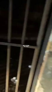 לבנון: עדיף להחנות את הרכב הרחק מהים...