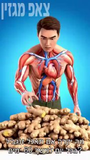 "מחקר חדש חושף: אכילת זנגביל יומית למשך 60 ימים מפחיתה דלקת,...