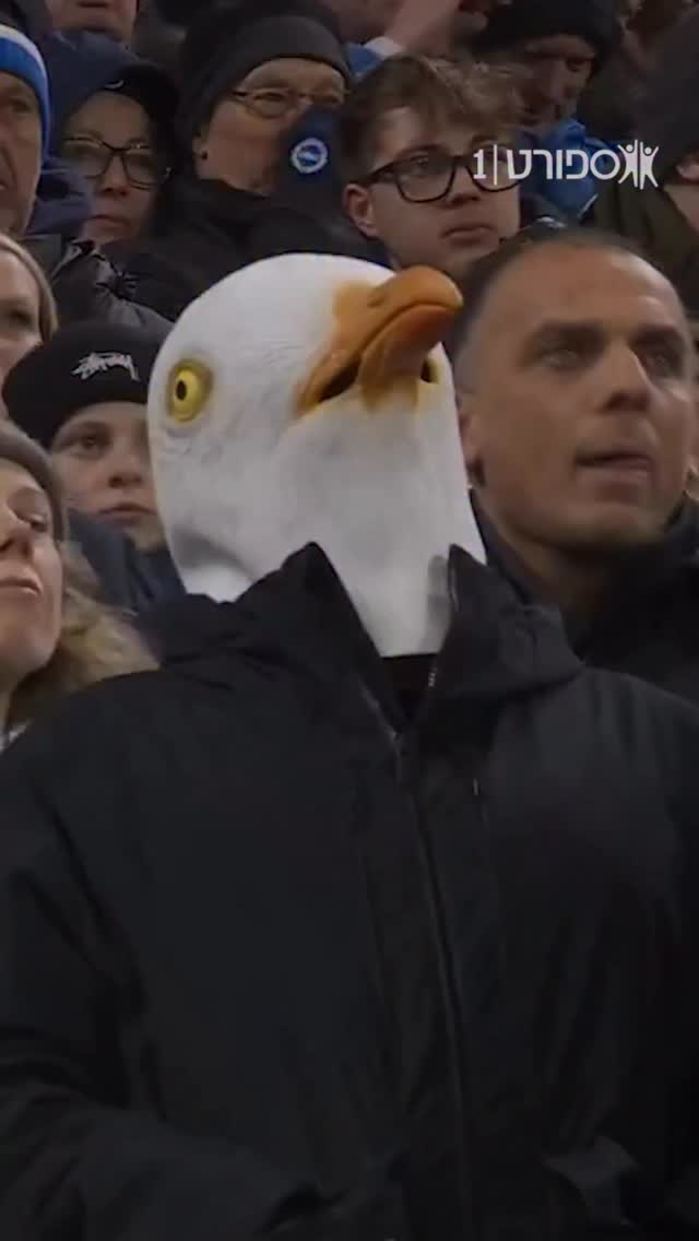 מתים לדעת באיזו התערבות האוהד הזה של ברייטון הפסיד שהוא היה...