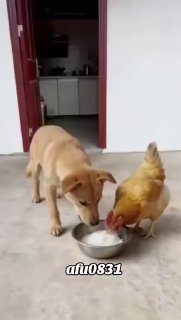 החטא ועונשו...