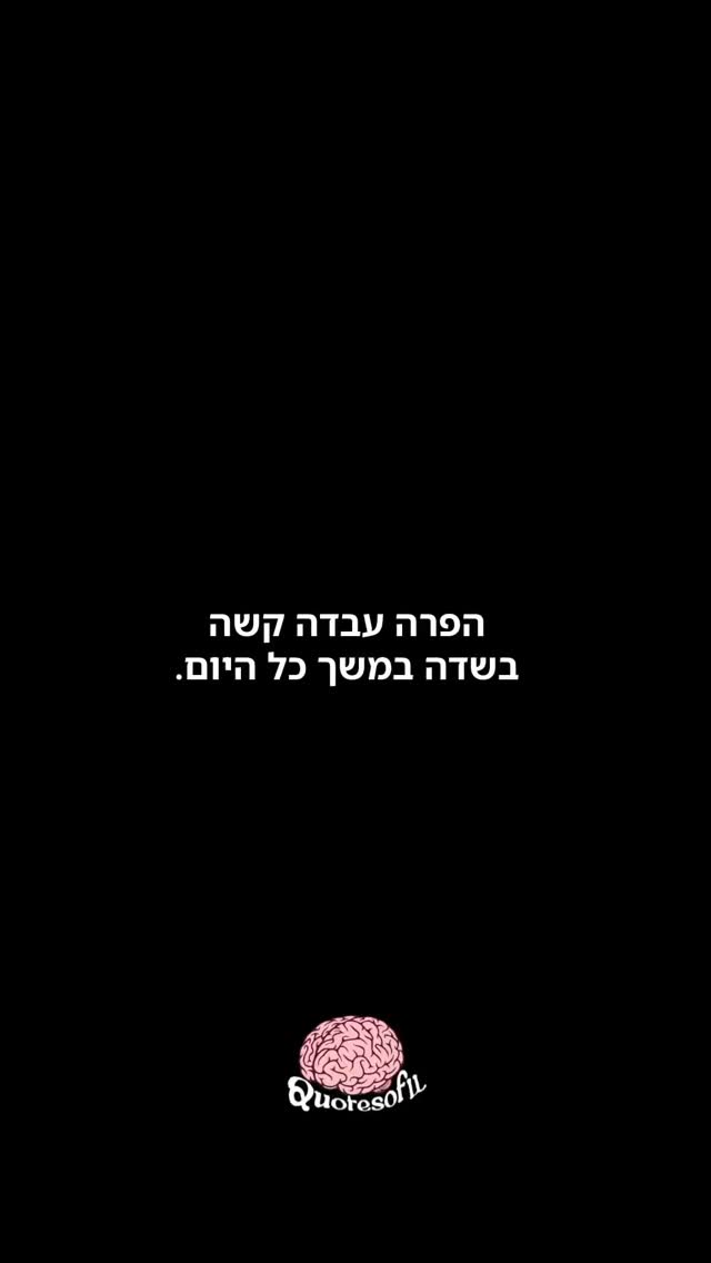 השקר מטייל מהר יותר מהאמת 🐮...