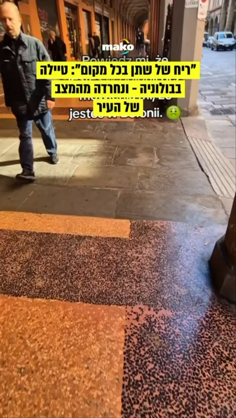 "בולוניה היא העיר הכי מגעילה באיטליה. היא מלוכלכת ומסריחה....