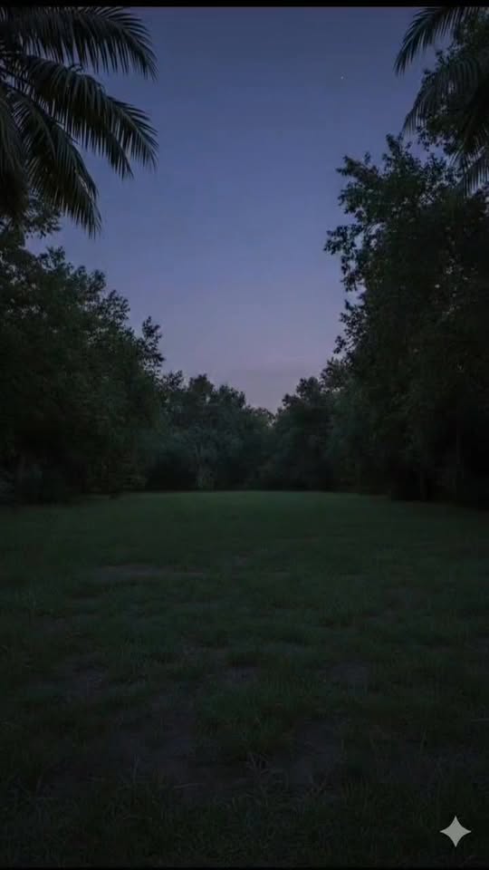 היכנסו לערב מהאגדות בווילה האלגנטית הזו, שבה אורות מנצנצים,...