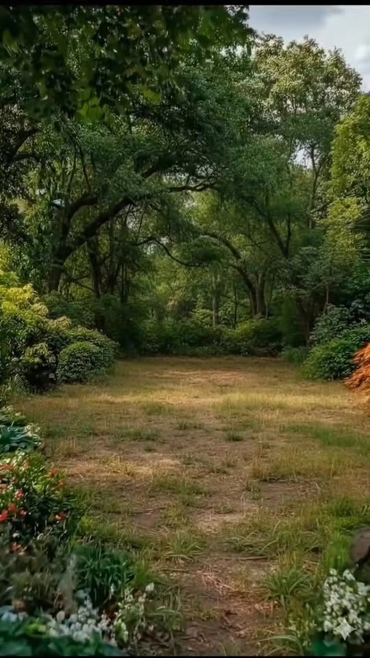 מחלקת אדמה ריקה לבית נעים ויפה שמוקף בטבע 🌳🏠...