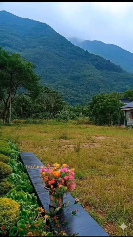 להתעורר לנוף הרים, לאוויר צח ולבית שמרגיש כמו מקום מפלט פרטי...