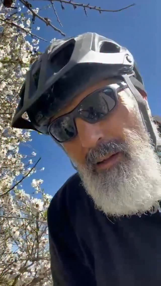 יצאתי לרכיבת אופנים וראיתי את השקדיות הלבנות....