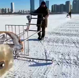 סין בונה ערים שלמות עשויות מגושי קרח ענקיים שנחתכים מנהר...