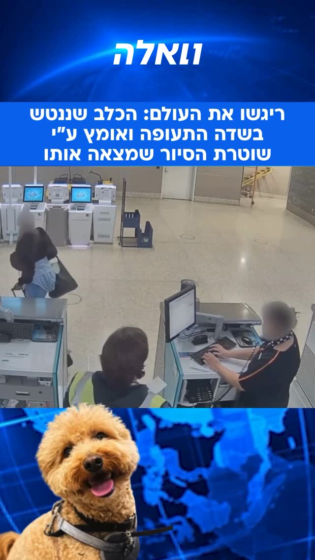 נוסעת בנמל התעופה בלאס וגאס נעצרה לאחר שנטשה את כלב...