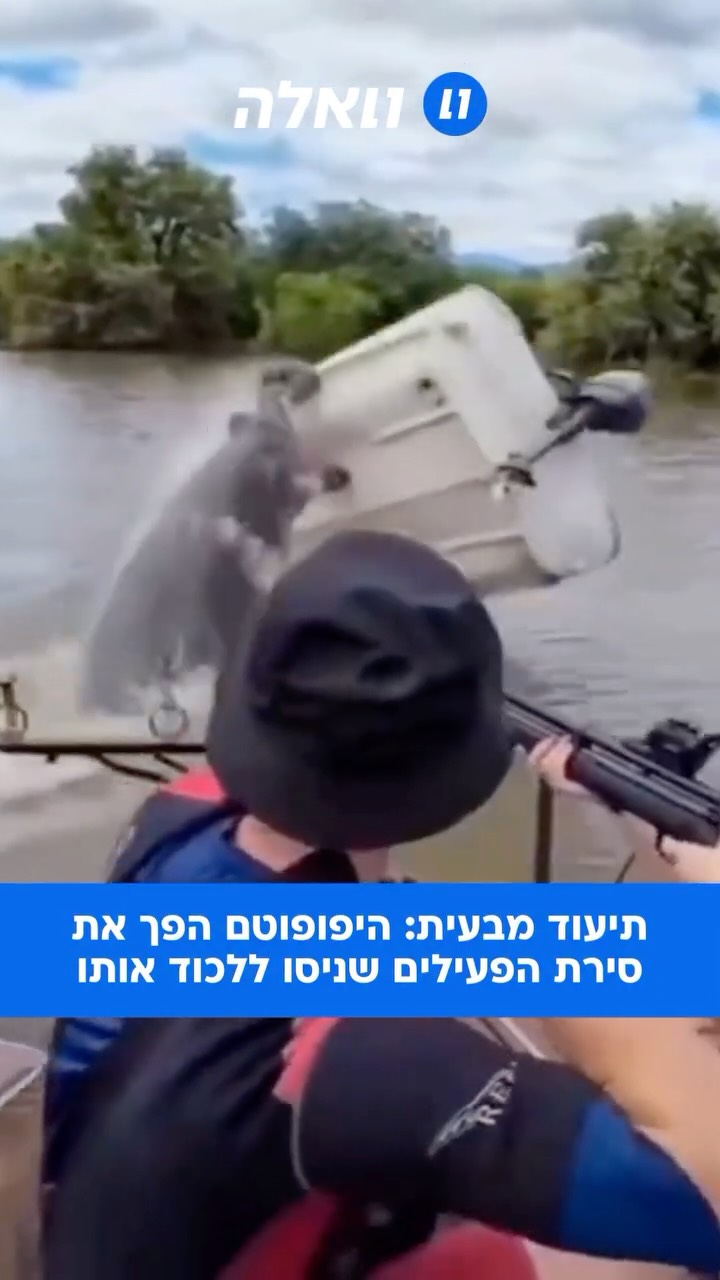 הטבע מזכיר מי הבוס: צוות שימור מדרום אפריקה נקלע לרגעים של...