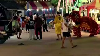 שוטרים תאילנדים התחפשו לאריות כדי לתפוס פושע....