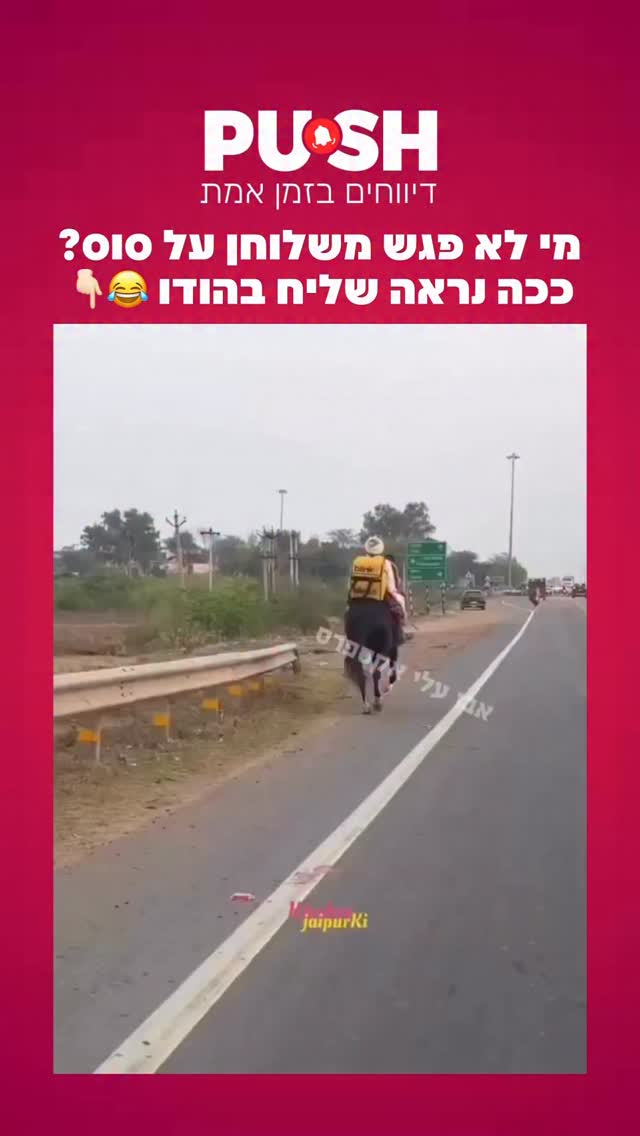מי לא פגש משלוחן על סוס? ככה נראה שליח בהודו 😂👇🏻...