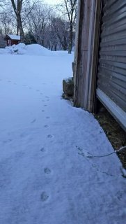 ׳זה לא רעיון טוב אחי׳...