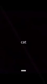 חתולים ונהנים...