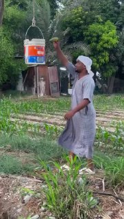 הסקרנות הורגת...