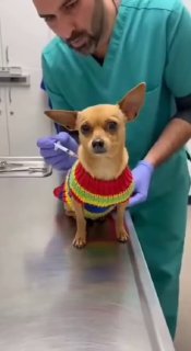 בינתיים בטיפת חלב...