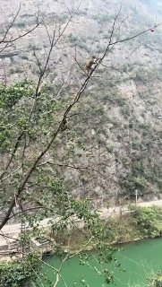 כשאתה מת מרעב...