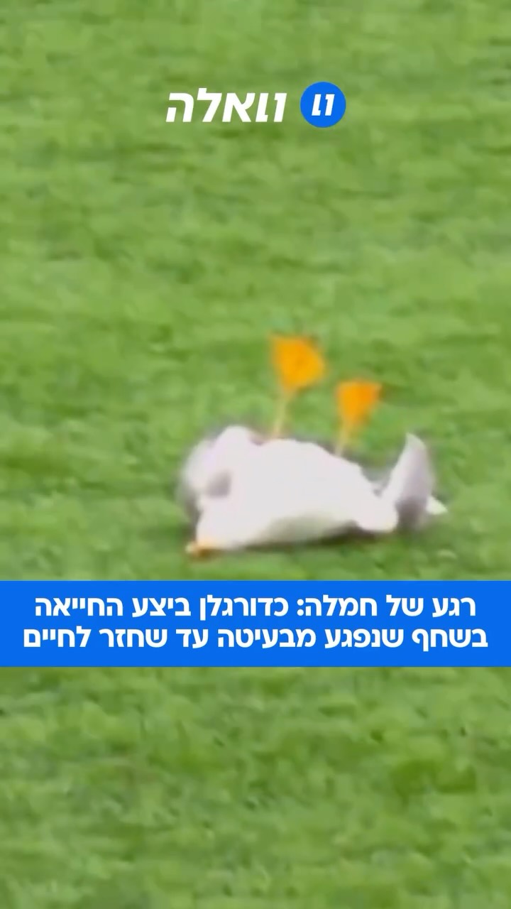 ⁨ דרמה מרגשת על כר הדשא בטורקיה: קפטן איסטנבול יורדום ספור,...
