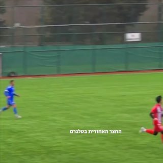 שוער בעט כדור ופגע בשחף במהלך משחק באיסטנבול....
