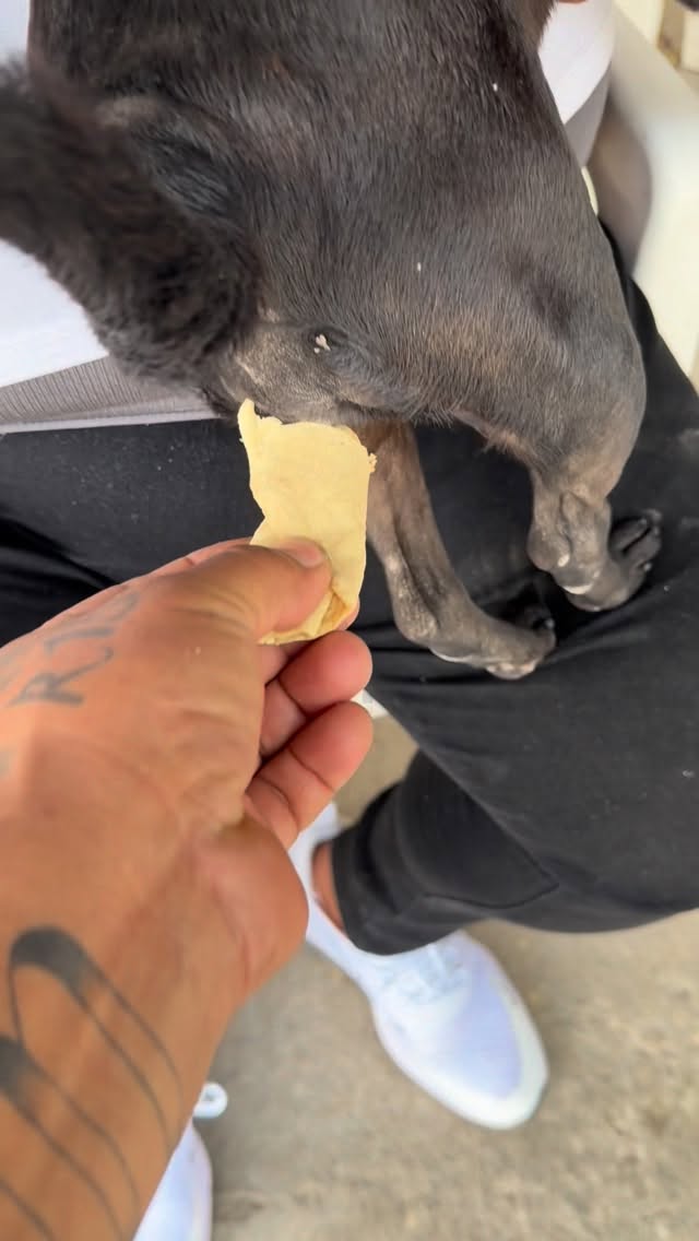 פינת "החבר הזבל" היומית...