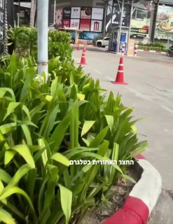 התיעוד הזה מגיע אלינו מתאילנד. לא שילם במסעדה....