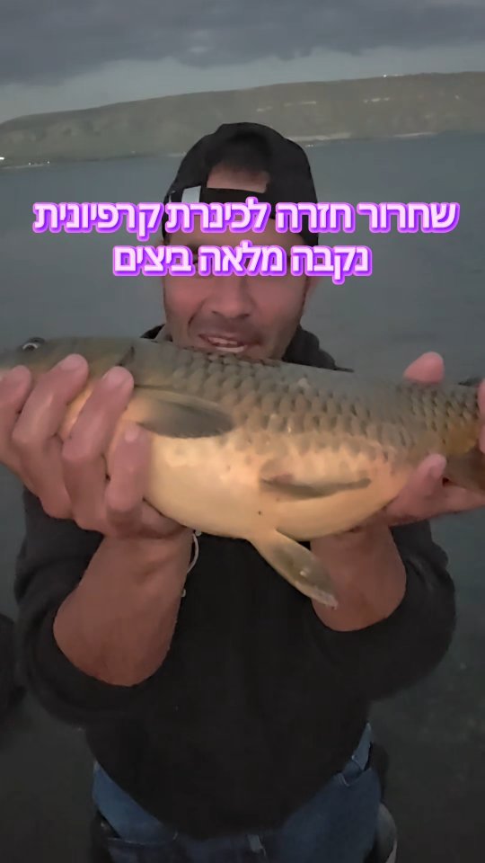 הקרפיונית המלאה בביצים זוכה לשחרור, כמובן, כדי לשמור על דור...
