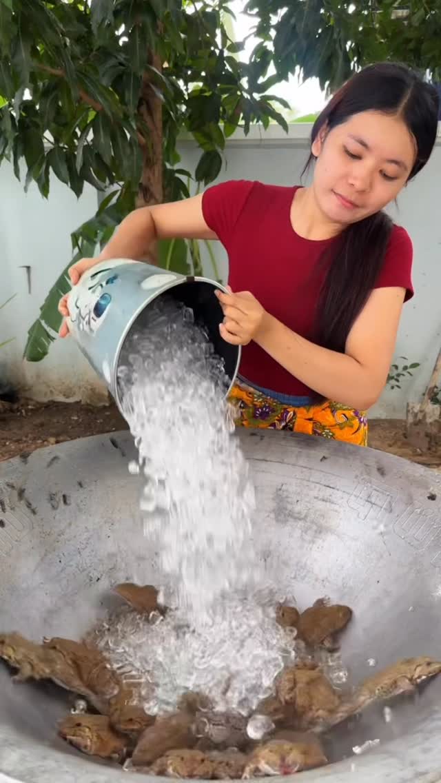 מתכון צפרדעים...