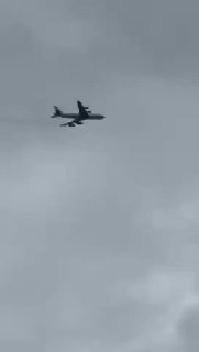 זהו הם יצאו לתקוף הצי האפור 😎...