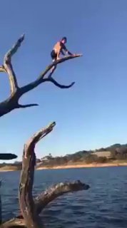 אספתי את כל הענפים....