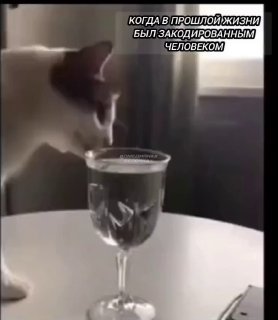 ואני רוצה, וקוצני! 😂...