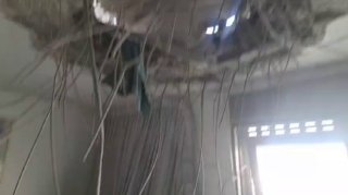 שרון קנובליך...