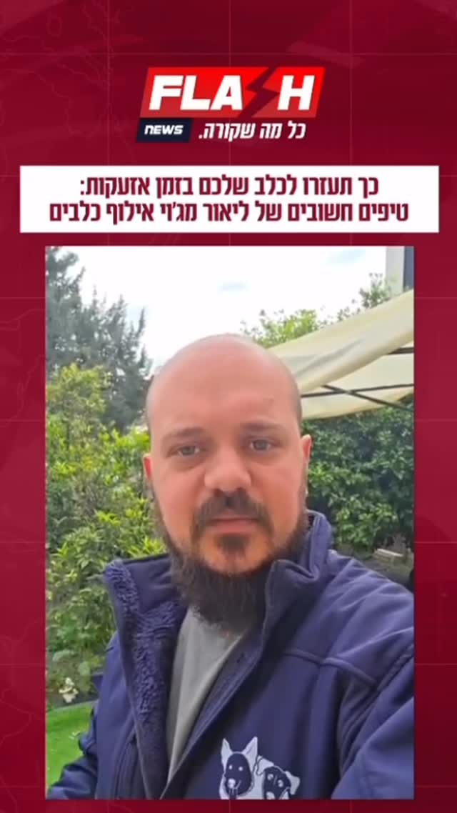 כך תעזרו לכלב שלכם בזמן אזעקות:...