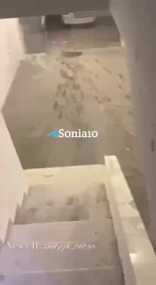 צה''ל הפציץ דירת מגורים בדרום ביירות‌‌...