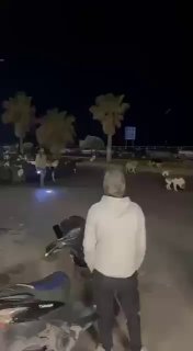 ביירות, יוצאים צפונה.....