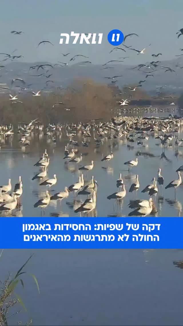⁨ גם טילים בליסטיים לא יעצרו את שיא היופי של הארץ שלנו: אלפי...