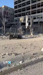 הדאחיה מתחילה להראות כמו עזה....