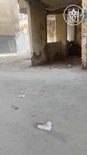 תיעוד מביירות....