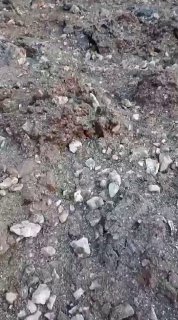 תיעוד | נזק רב נגרם בכפר א-נבי שית, שבמזרח לבנון, בעקבות פעילות...