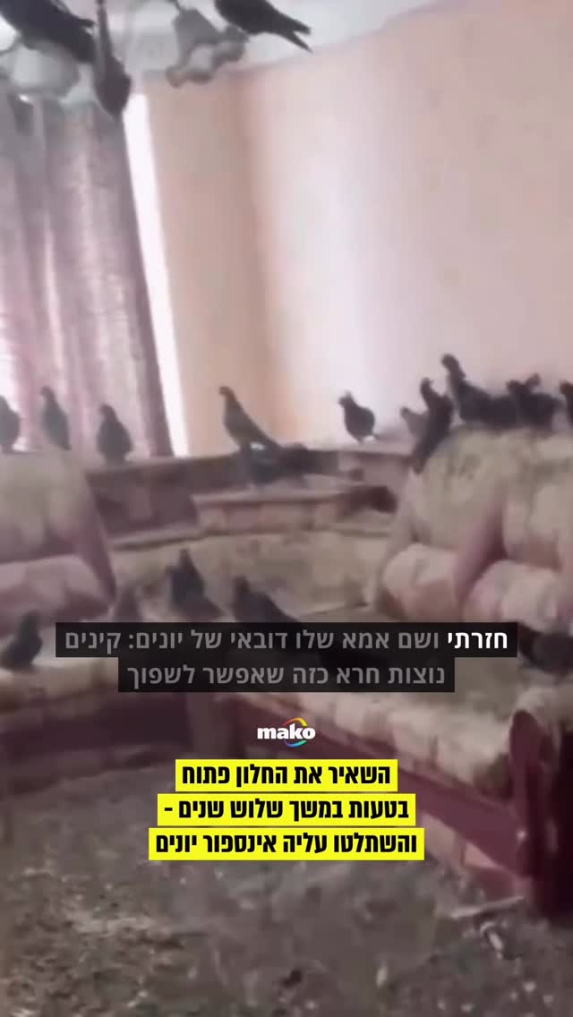 מדי פעם, כדי לאוורר את הבית ולהכניס קצת אוויר צח. אבל מסתבר...