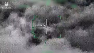 משרד ההגנה של איחוד האמירויות מפרסם וידאו של כוחותיו מפילים...